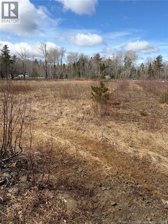 1 Acre Bellefond Road, Bellefond, New Brunswick  E1V 4T6 - Photo 3 - NB135061