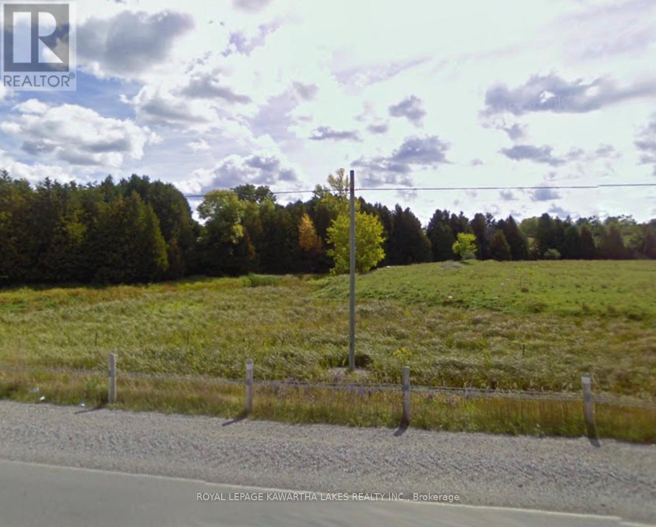 1138 Little Britain Road, Kawartha Lakes, Ontario  K0M 2C0 - Photo 39 - X12835186