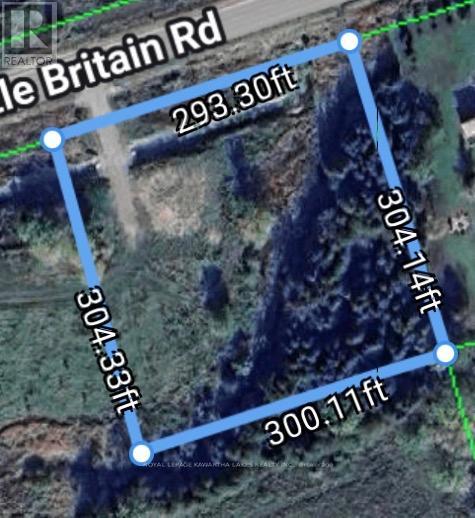 1138 Little Britain Road, Kawartha Lakes, Ontario  K0M 2C0 - Photo 38 - X12835186