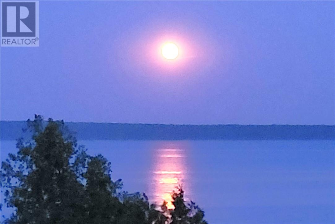 210 Kokomo Trail, Tehkummah, Ontario  P0P 2C0 - Photo 63 - 2127077