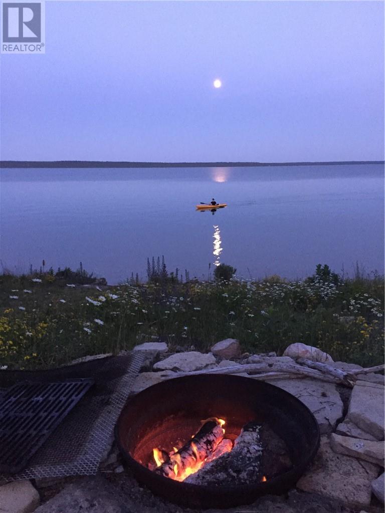 210 Kokomo Trail, Tehkummah, Ontario  P0P 2C0 - Photo 65 - 2127077