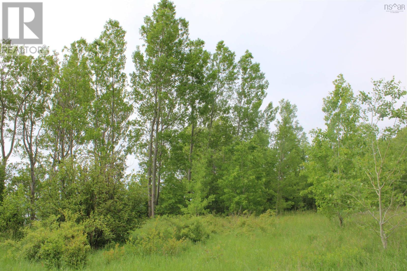 Lot Granville Road, Karsdale, Nova Scotia  B0S 1A0 - Photo 16 - 202607412