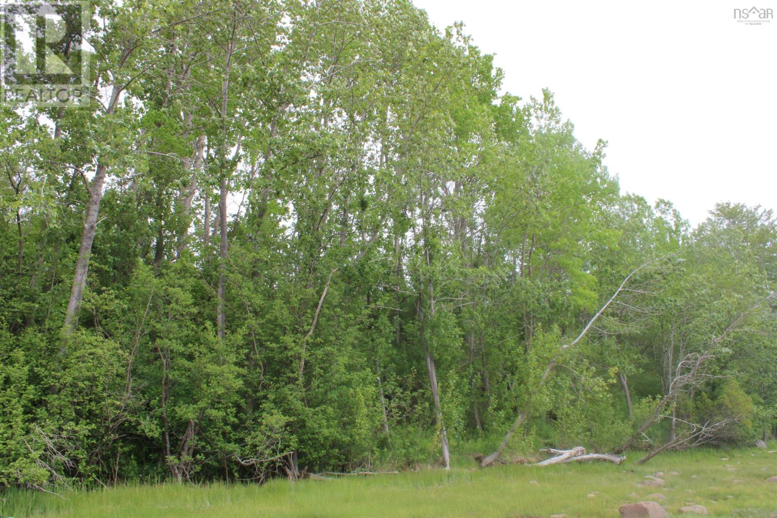 Lot Granville Road, Karsdale, Nova Scotia  B0S 1A0 - Photo 18 - 202607412