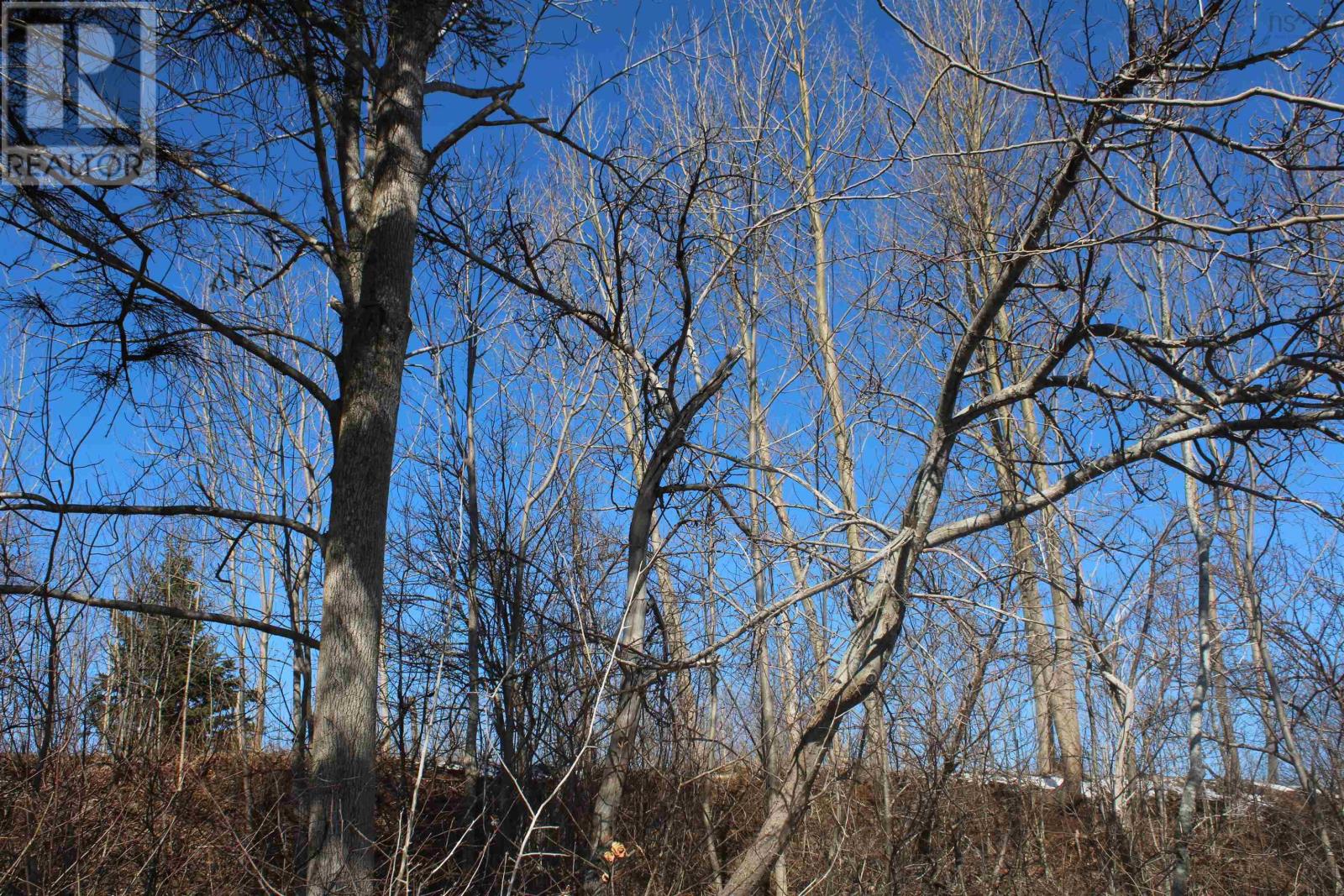 Lot Granville Road, Karsdale, Nova Scotia  B0S 1A0 - Photo 35 - 202607412