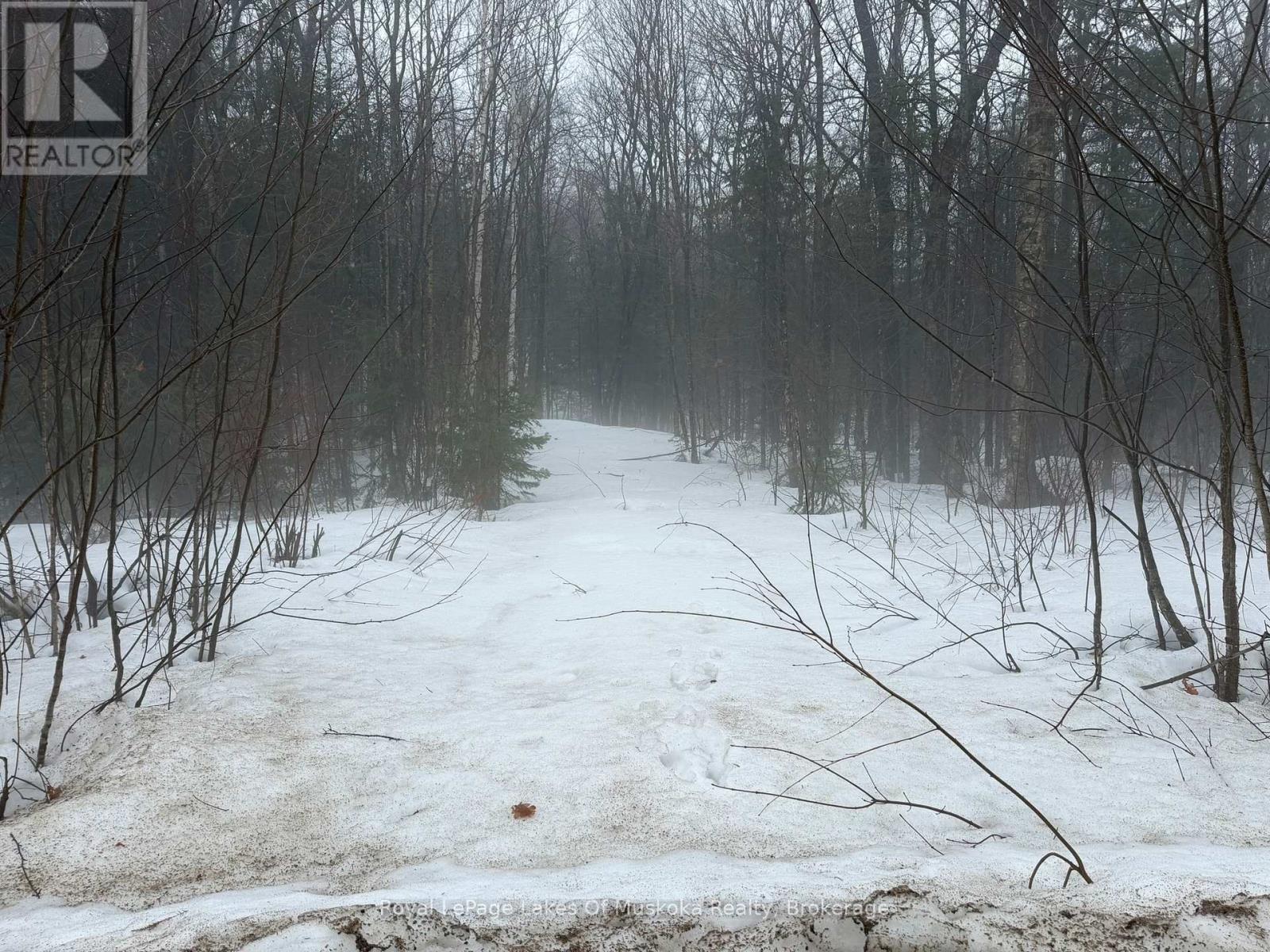 0 Stoney Road, Ryerson, Ontario P0A 1C0 - Photo 3 - X12999908