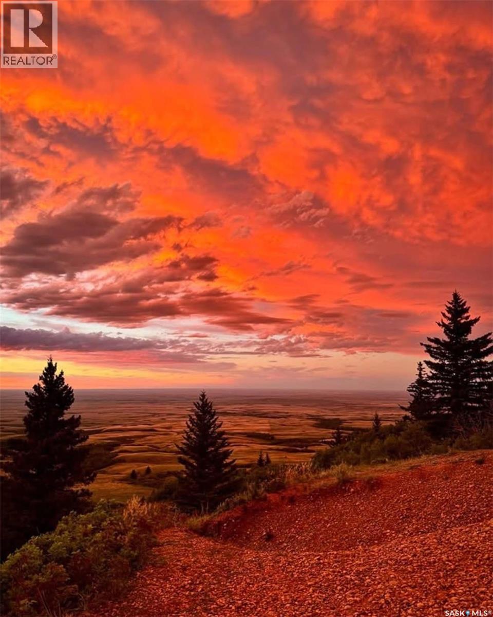 120 Acres In The Heart Of Cypress Hills Sk, Cypress Hills Provincial Park, Saskatchewan  S0N 1N0 - Photo 11 - SK032769