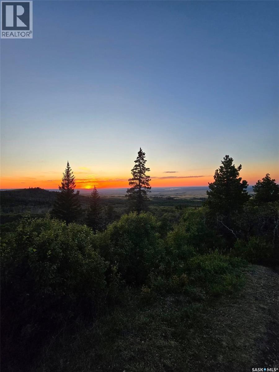 120 Acres In The Heart Of Cypress Hills Sk, Cypress Hills Provincial Park, Saskatchewan  S0N 1N0 - Photo 12 - SK032769