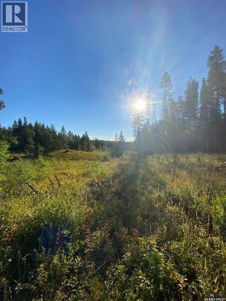 120 Acres In The Heart Of Cypress Hills Sk, Cypress Hills Provincial Park, Saskatchewan  S0N 1N0 - Photo 14 - SK032769