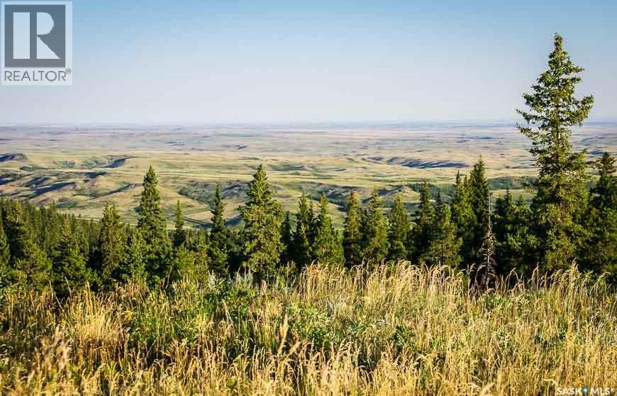 120 Acres In The Heart Of Cypress Hills Sk, Cypress Hills Provincial Park, Saskatchewan  S0N 1N0 - Photo 17 - SK032769