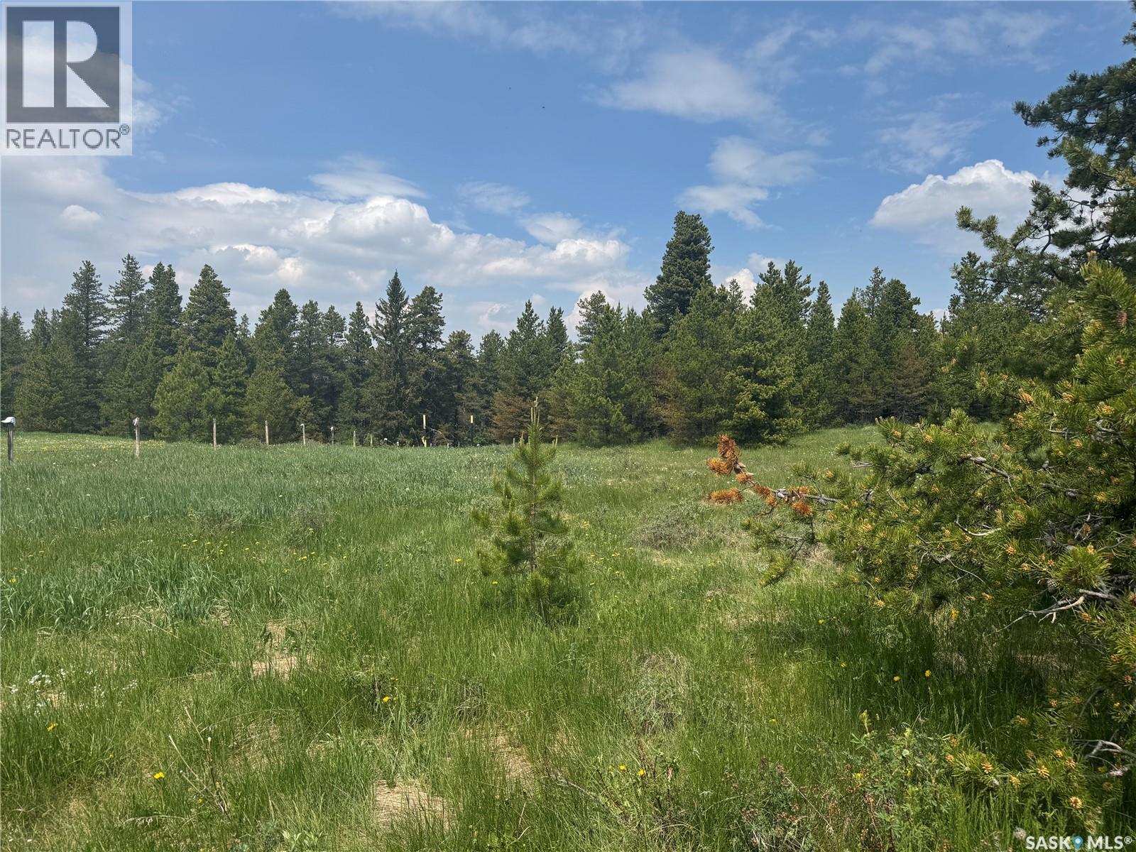 120 Acres In The Heart Of Cypress Hills Sk, Cypress Hills Provincial Park, Saskatchewan  S0N 1N0 - Photo 3 - SK032769