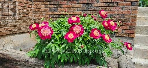 194 St Lawrence Street W, Centre Hastings, Ontario  K0K 2K0 - Photo 30 - X13000018