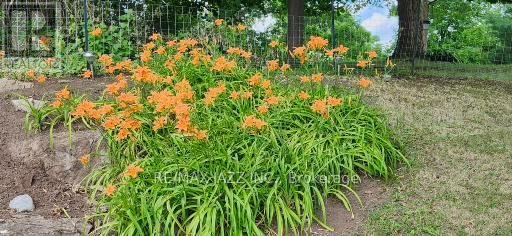 194 St Lawrence Street W, Centre Hastings, Ontario  K0K 2K0 - Photo 32 - X13000018