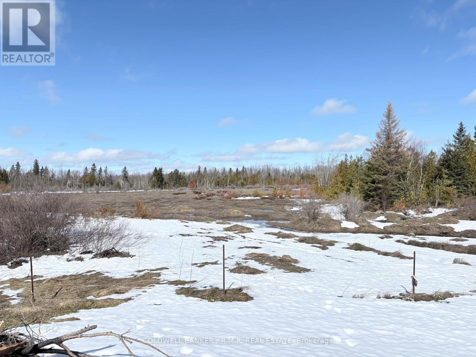 268 Mcguire Beach Road, Kawartha Lakes, Ontario  K0M 2B0 - Photo 4 - X13000022