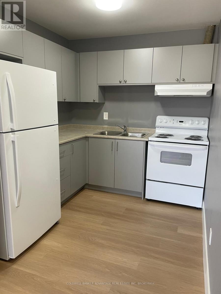 205 - 55 Mcalpine Avenue S, Welland, Ontario  L3B 1T7 - Photo 3 - X13000082