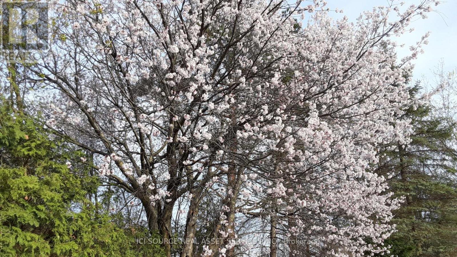 216 Brockville Street, Smiths Falls, Ontario  K7A 3Z4 - Photo 25 - X12847464