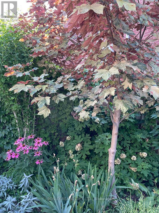 66 Ninth Street, Toronto, Ontario  M8V 3E3 - Photo 39 - W12995696