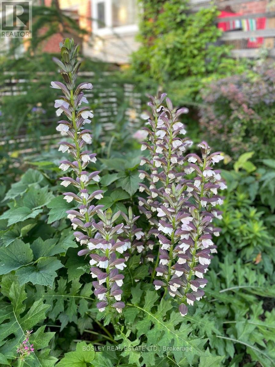 66 Ninth Street, Toronto, Ontario  M8V 3E3 - Photo 40 - W12995696