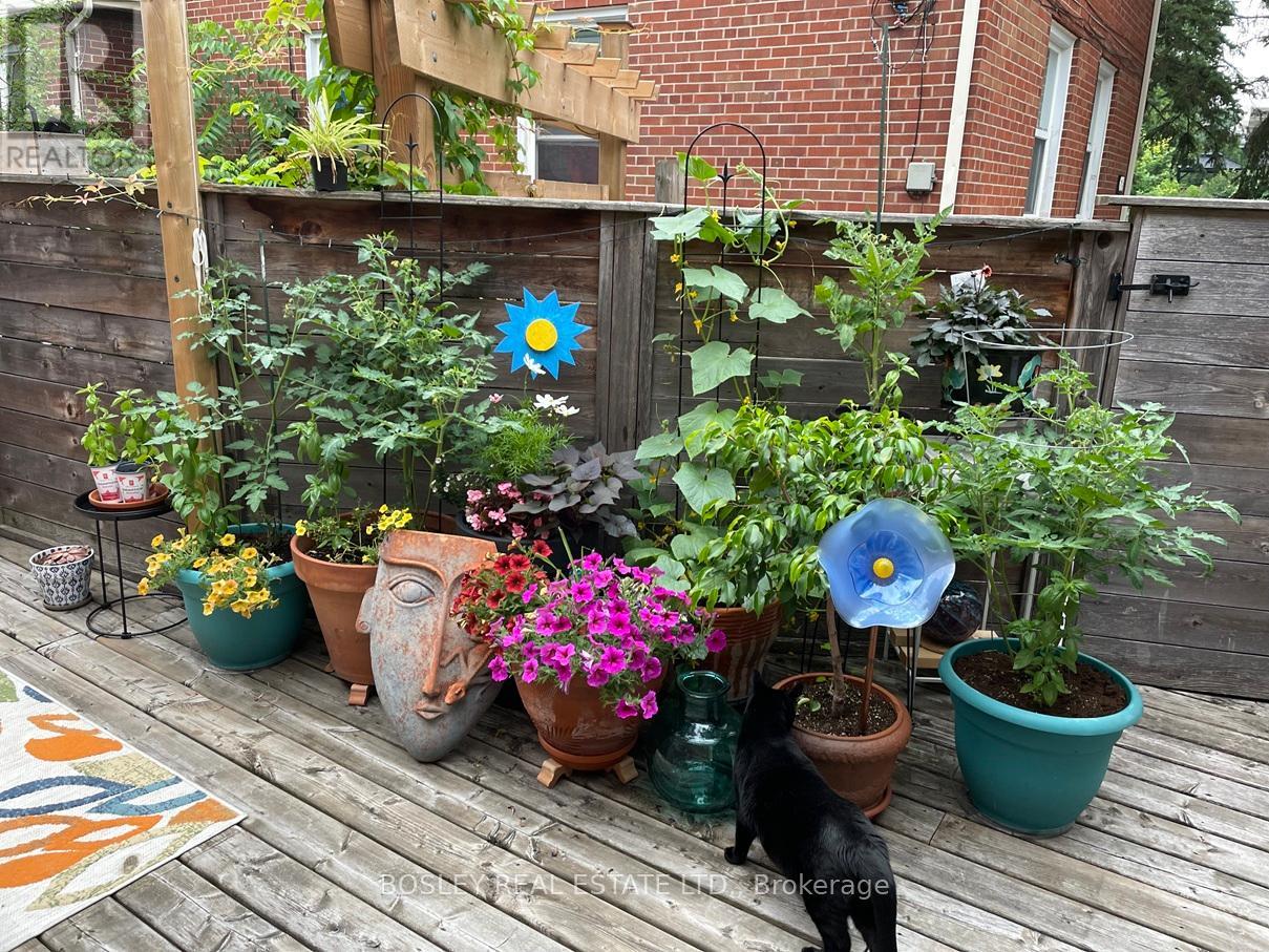 66 Ninth Street, Toronto, Ontario  M8V 3E3 - Photo 43 - W12995696