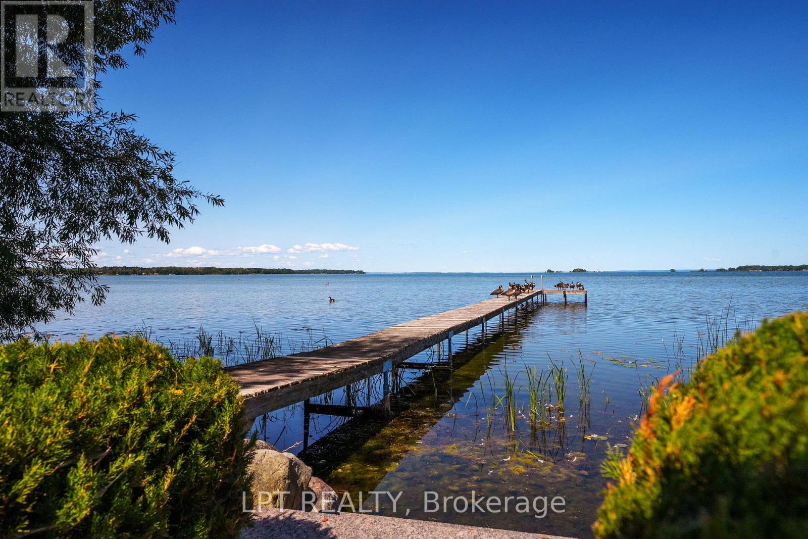 76 Mcrae Beach Road, Georgina, Ontario  L0E 1N0 - Photo 42 - N12999972