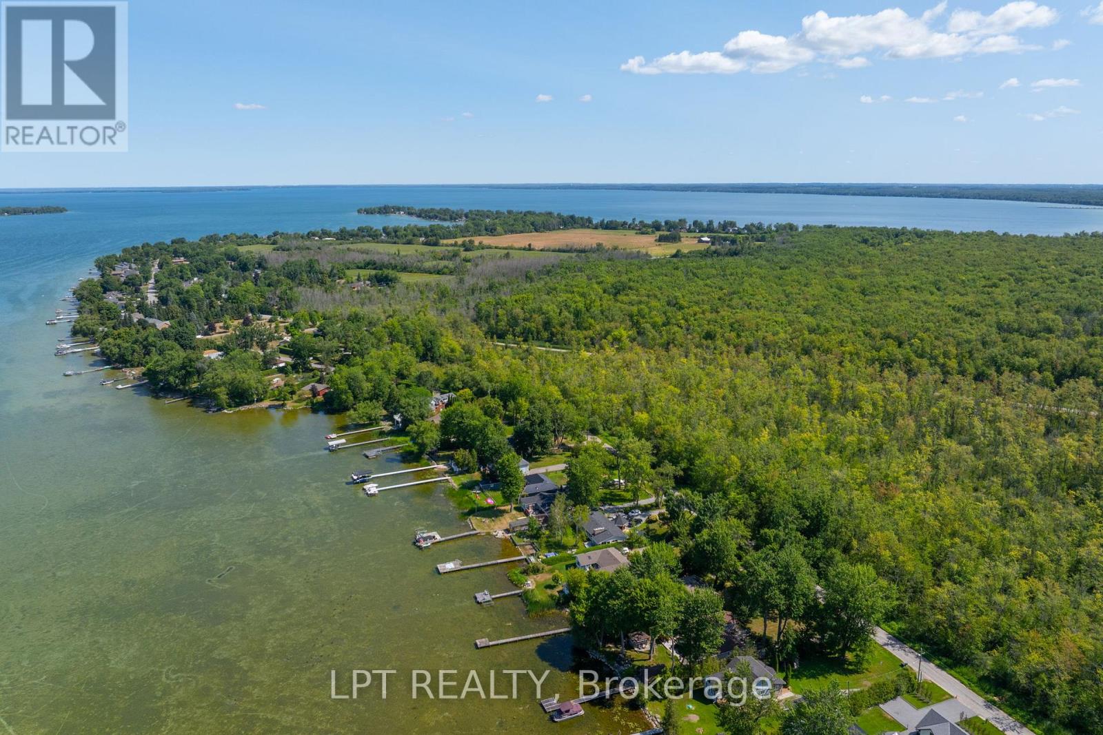 76 Mcrae Beach Road, Georgina, Ontario  L0E 1N0 - Photo 43 - N12999972