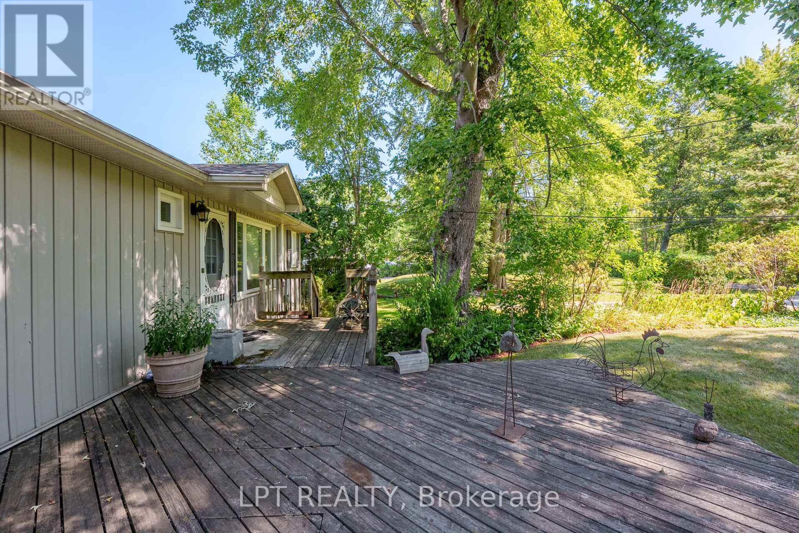 76 Mcrae Beach Road, Georgina, Ontario  L0E 1N0 - Photo 9 - N12999972