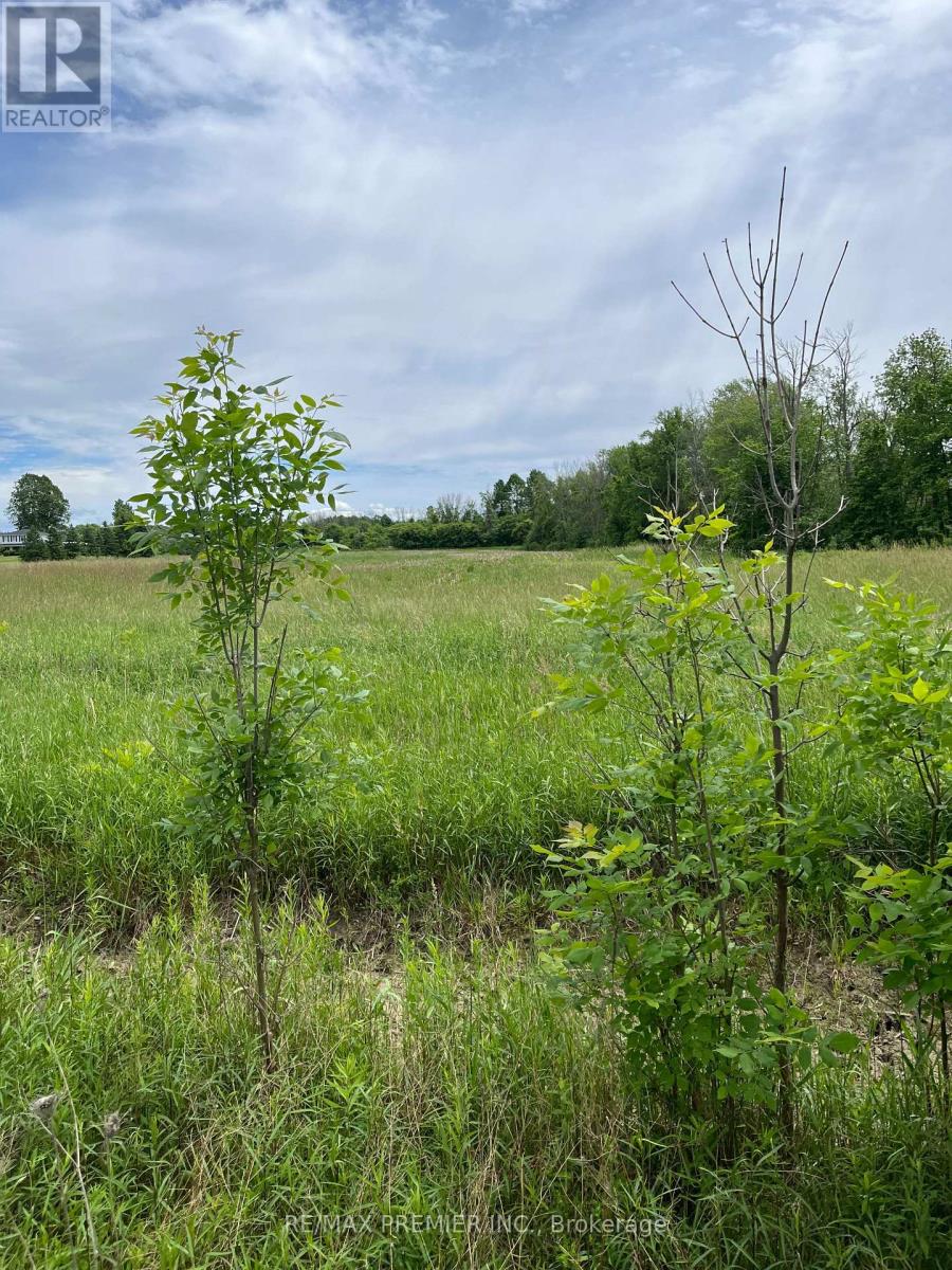 N/a Highway 48, Georgina, Ontario  L0E 1N0 - Photo 3 - N13000032