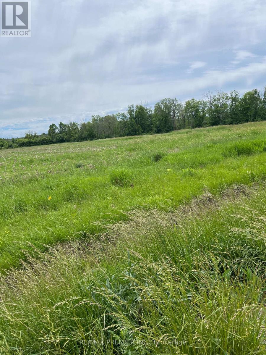 N/a Highway 48, Georgina, Ontario  L0E 1N0 - Photo 4 - N13000032