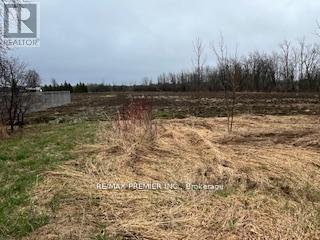 N/a Highway 48, Georgina, Ontario  L0E 1N0 - Photo 5 - N13000032