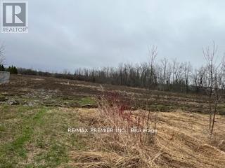 N/a Highway 48, Georgina, Ontario  L0E 1N0 - Photo 7 - N13000032