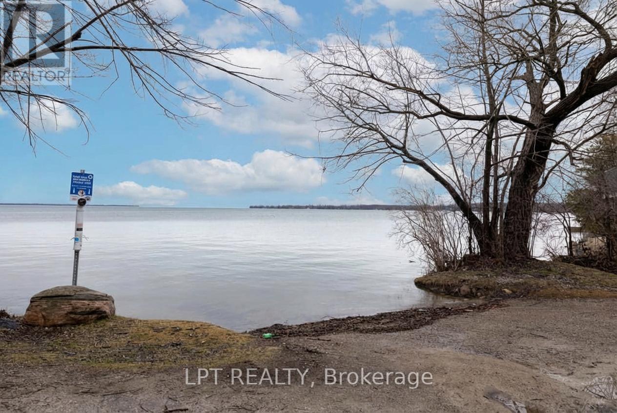 21 Hadden Road, Georgina, Ontario  L0E 1R0 - Photo 25 - N13000174