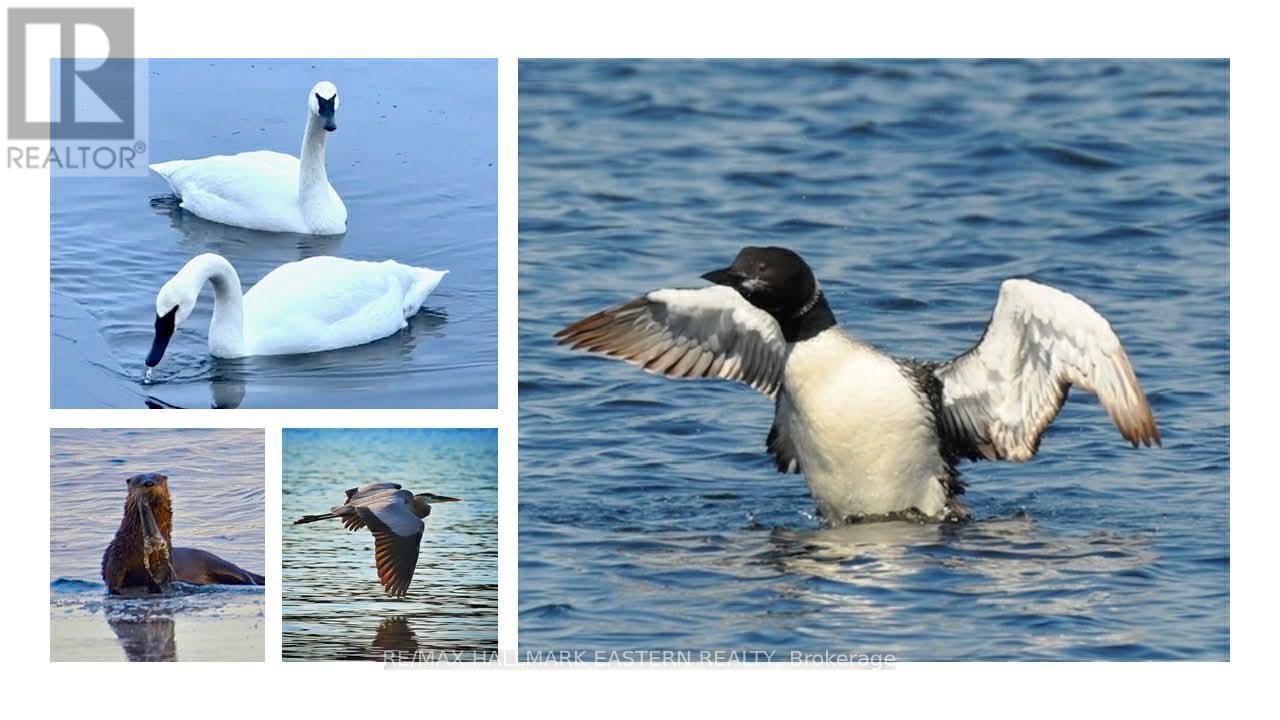 409 Gallivan Drive, Selwyn, Ontario  K0L 1T0 - Photo 48 - X12993192