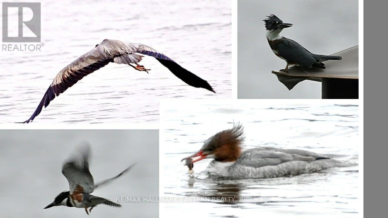 409 Gallivan Drive, Selwyn, Ontario  K0L 1T0 - Photo 49 - X12993192