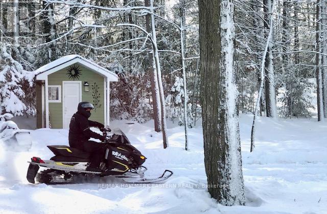 409 Gallivan Drive, Selwyn, Ontario  K0L 1T0 - Photo 50 - X12993192