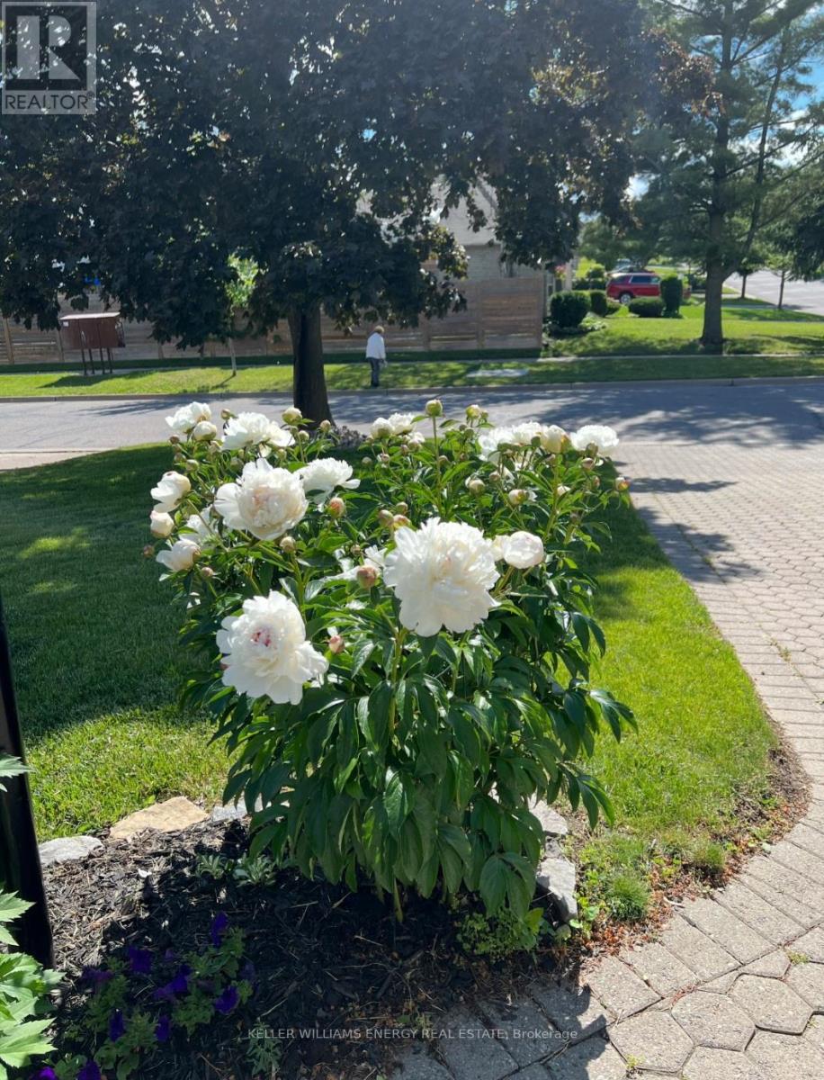 565 Prestwick Drive, Oshawa, Ontario L1J 7P4 - Photo 43 - E13000596