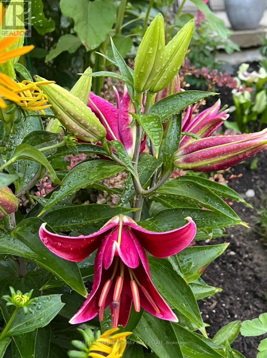 565 Prestwick Drive, Oshawa, Ontario L1J 7P4 - Photo 44 - E13000596