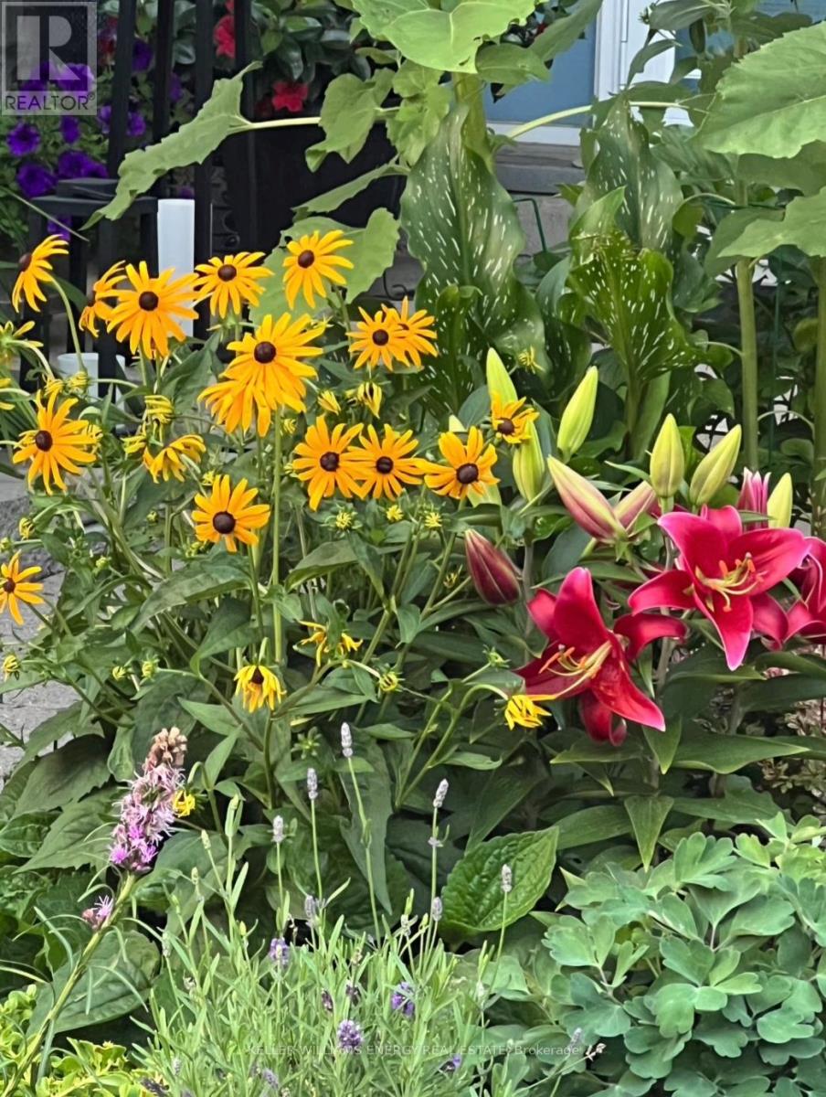 565 Prestwick Drive, Oshawa, Ontario L1J 7P4 - Photo 45 - E13000596