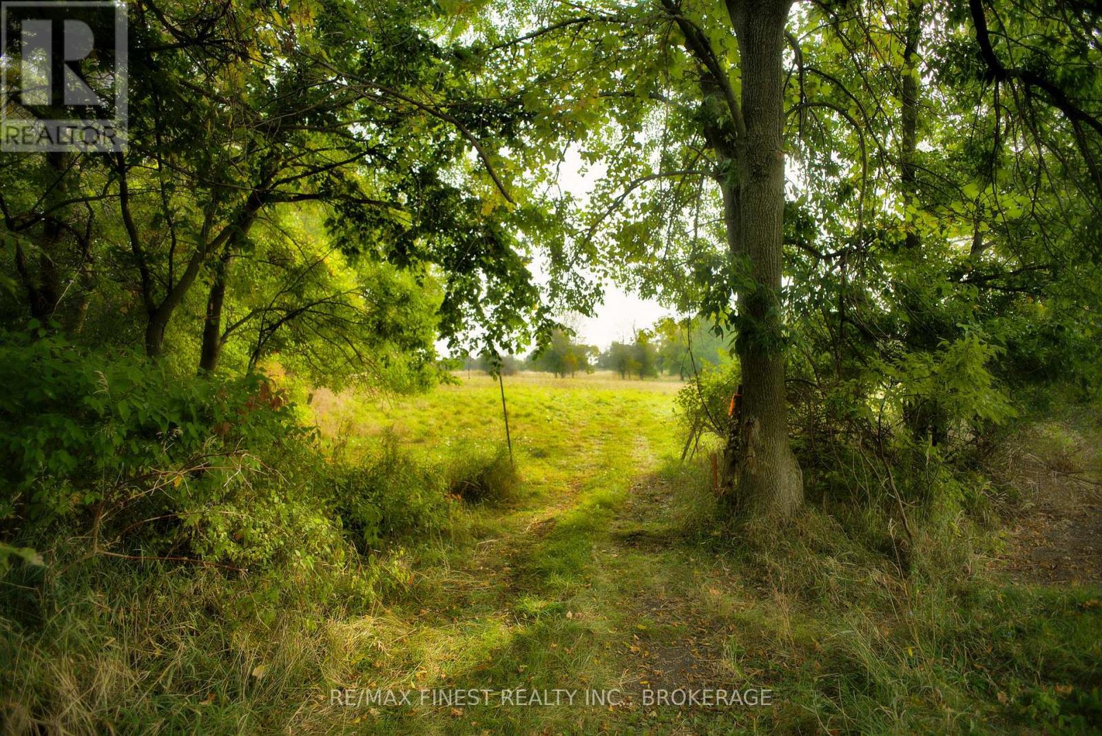 15355 Front Road, Loyalist, Ontario  K0H 2S0 - Photo 21 - X13000262