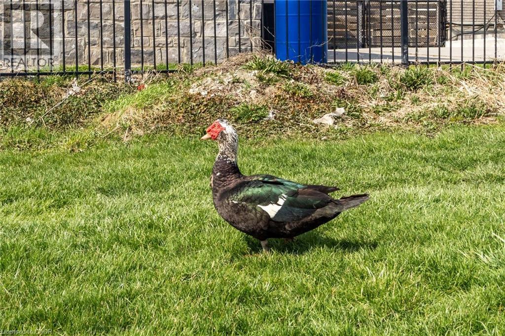 6816 Regional Road 65, Smithville, Ontario  L0R 2A0 - Photo 27 - 40820816