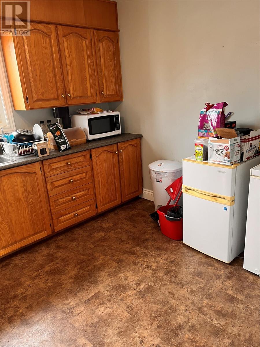 71 Perlin Street, St. Johns, Newfoundland & Labrador  A1E 4B9 - Photo 18 - 1296197