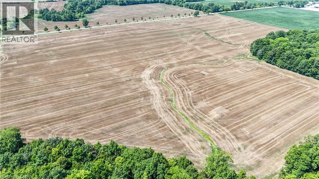 304 Turnbull Road, Canfield, Ontario  N0A 1C0 - Photo 25 - 40817235