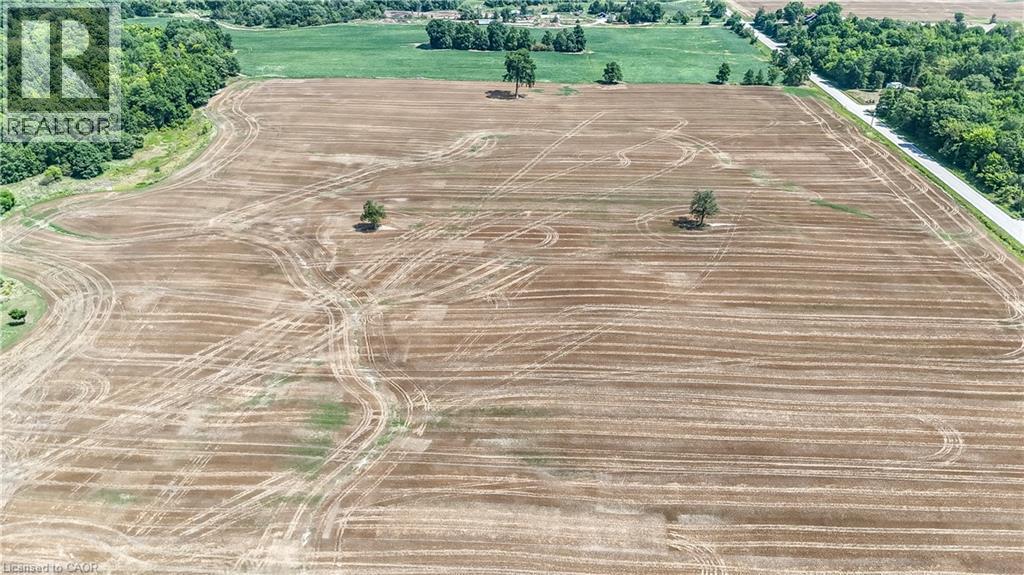 304 Turnbull Road, Canfield, Ontario  N0A 1C0 - Photo 6 - 40817235