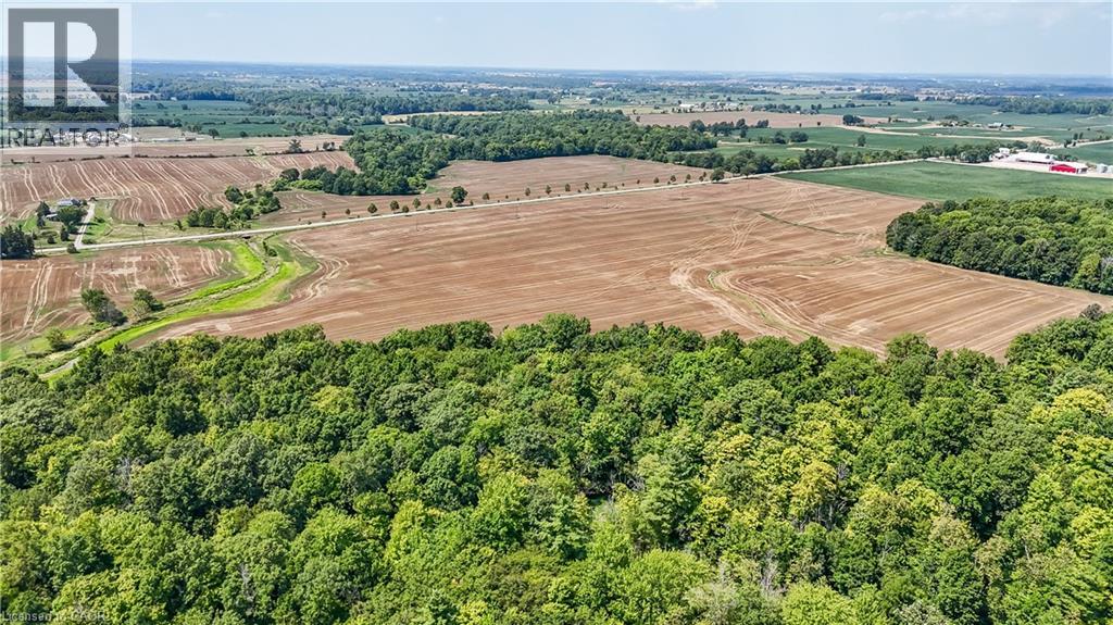 304 Turnbull Road, Canfield, Ontario  N0A 1C0 - Photo 9 - 40817235