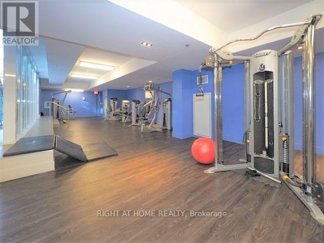 Ph08w - 36 Lisgar Street, Toronto, Ontario  M6J 3G2 - Photo 16 - C13000552