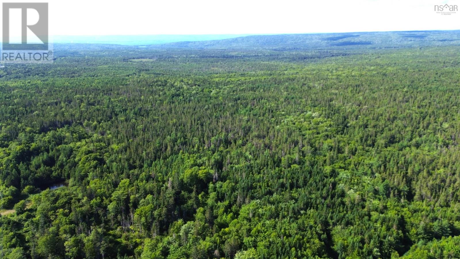 Black River Road, Grande Anse, Nova Scotia  B0E 1V0 - Photo 10 - 202517525
