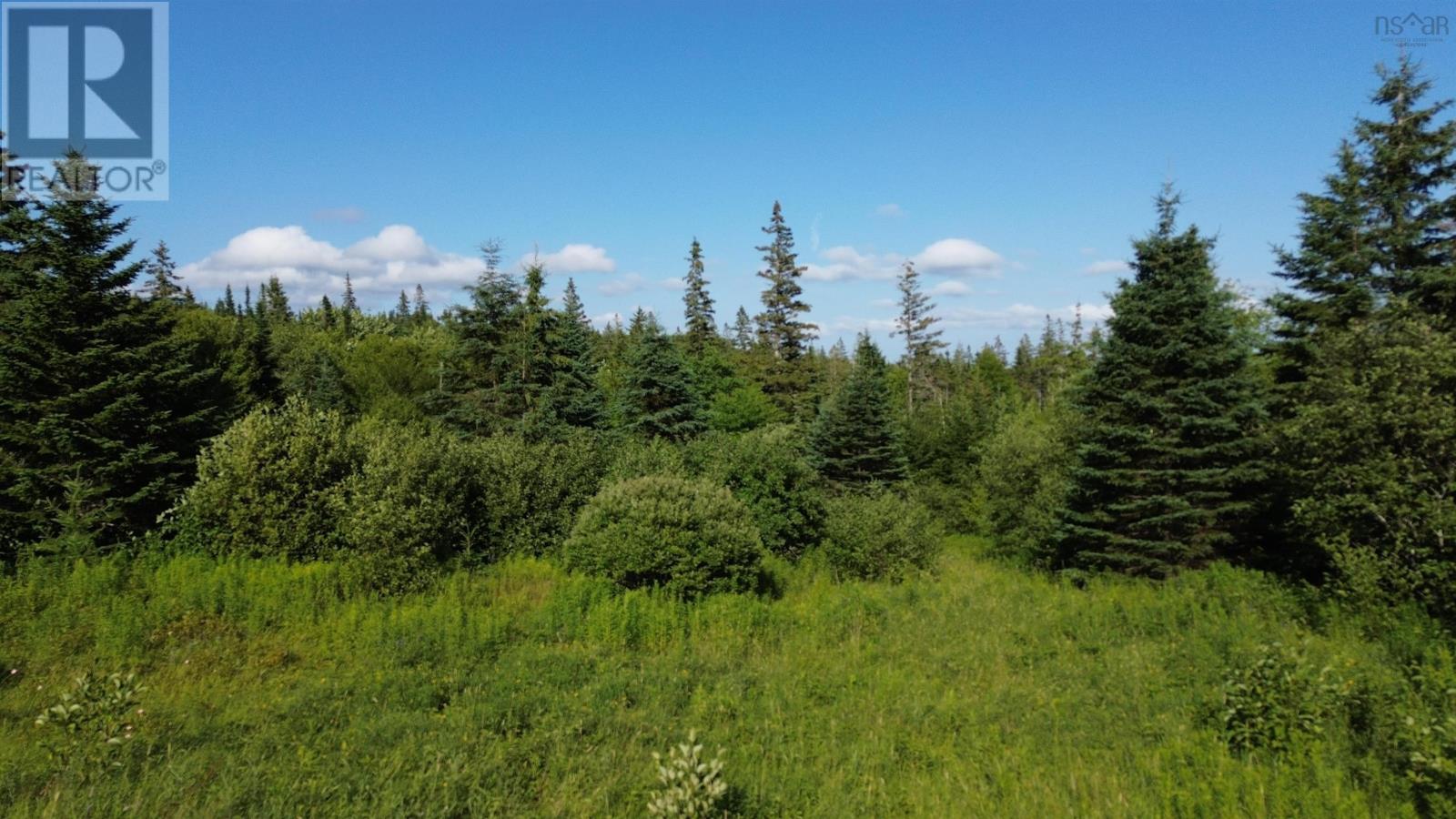 Black River Road, Grande Anse, Nova Scotia  B0E 1V0 - Photo 1 - 202517525
