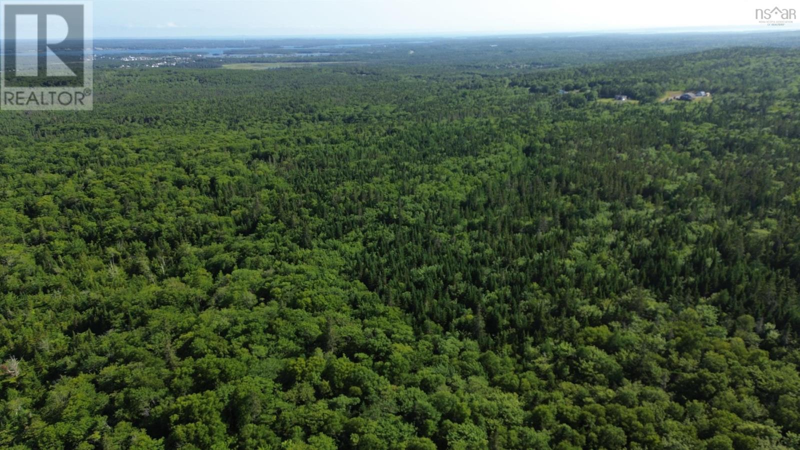 Black River Road, Grande Anse, Nova Scotia  B0E 1V0 - Photo 16 - 202517525