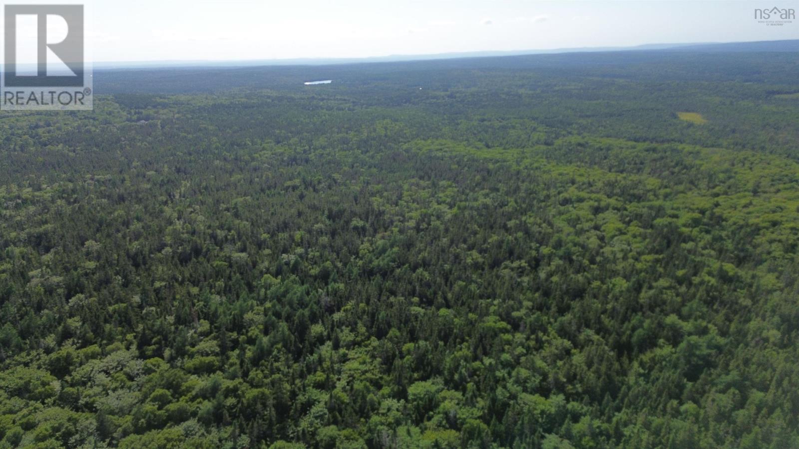 Black River Road, Grande Anse, Nova Scotia  B0E 1V0 - Photo 15 - 202517525