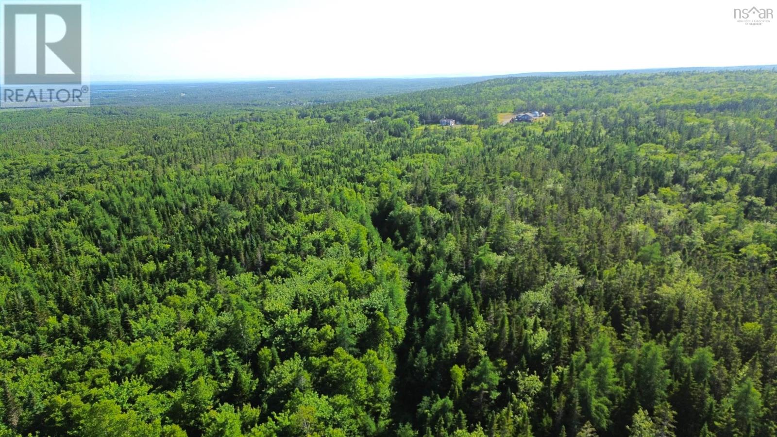 Black River Road, Grande Anse, Nova Scotia  B0E 1V0 - Photo 20 - 202517525