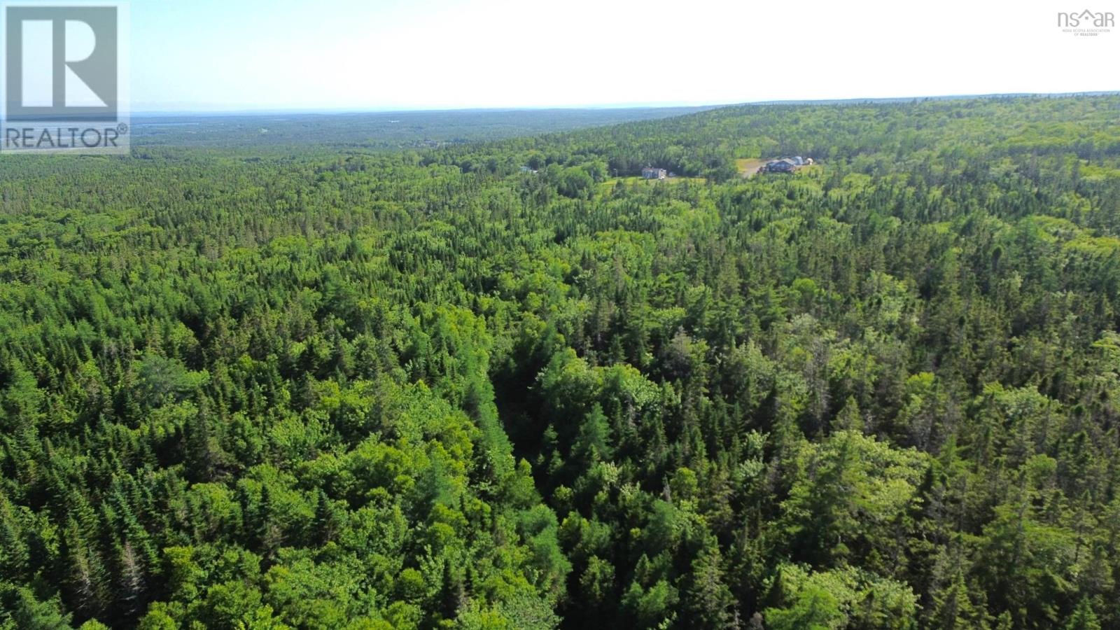 Black River Road, Grande Anse, Nova Scotia  B0E 1V0 - Photo 21 - 202517525