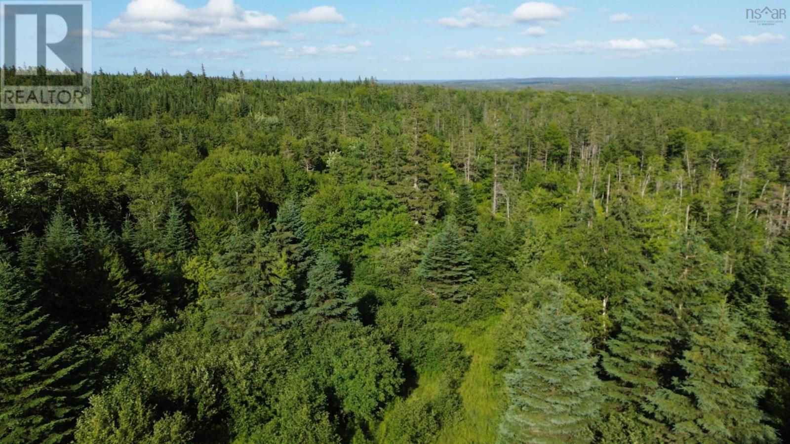 Black River Road, Grande Anse, Nova Scotia  B0E 1V0 - Photo 7 - 202517525